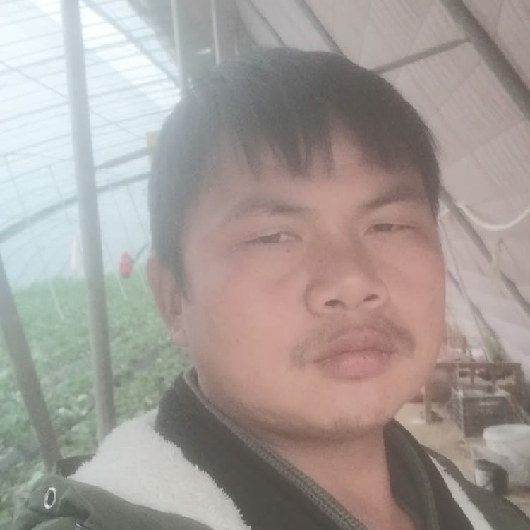 孤狼‘的第一张照片--德化相亲网