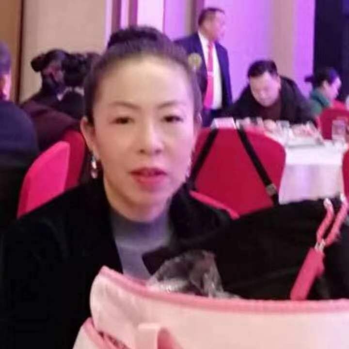 中秋桂花玉兔的第四张照片--德化相亲网