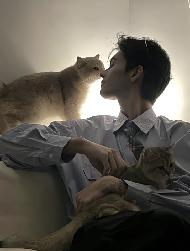 怪猫的第一张照片--德化相亲网